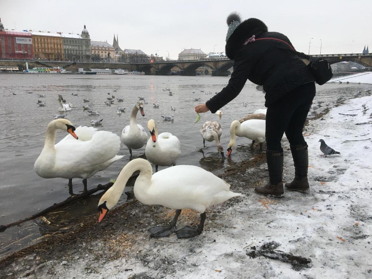 Apartment Vltava Прага Екстер'єр фото